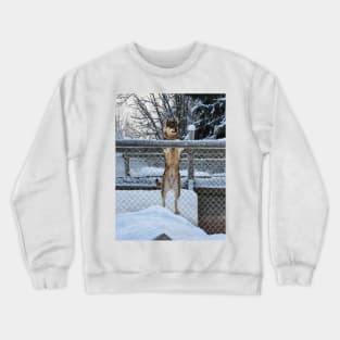 Lapland Crewneck Sweatshirt